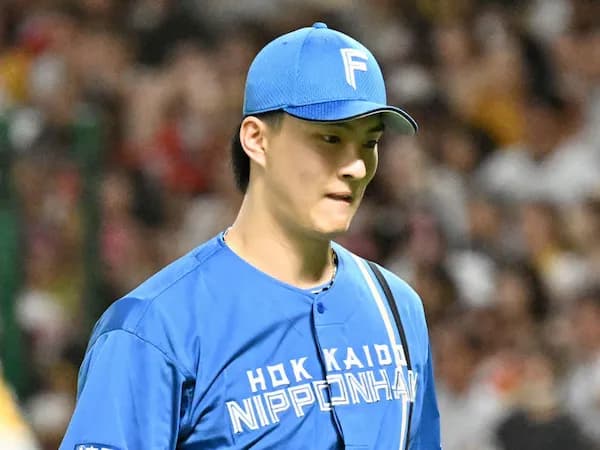 日本ハム達孝太、全てを託された模様