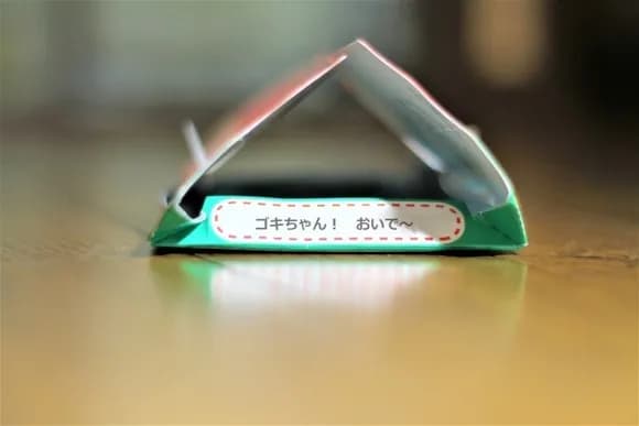 【悲報】日本最大のゴキブリが福岡市で急増「巨大で数もすごい」ｗｗｗｗｗｗｗｗｗ