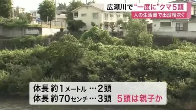 【悲報】仙台駅前にクマ5頭出没