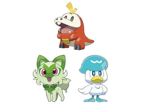 炎タイプ←リザードン　水タイプ←ゲッコウガ　草タイプ←？