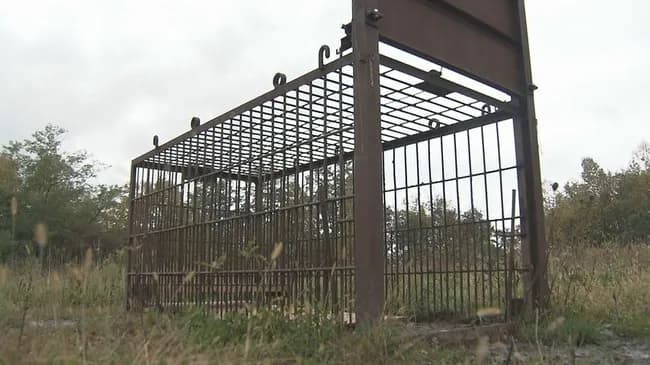 【悲報】北海道・猟友会、ストライキｗｗｗｗｗｗｗｗ