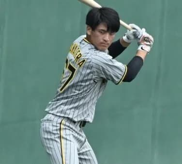 虎ファン『正直DH高寺は意味不明』←単純に控え野手の層が薄すぎ
