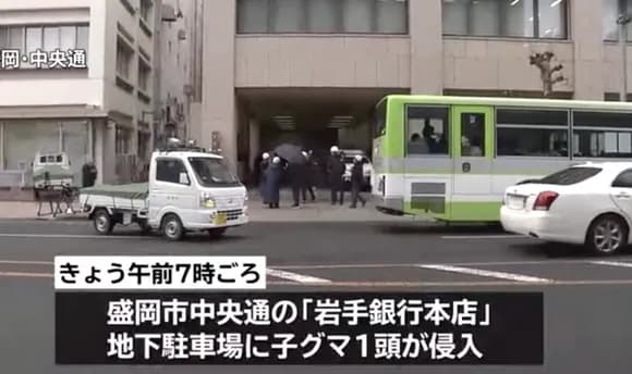 【悲報】岩手銀行地下駐車場にクマ出没中・・・・・・・