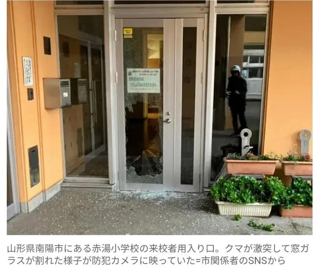 【速報】山形県の小学校にクマ出現　窓ガラス叩き割る