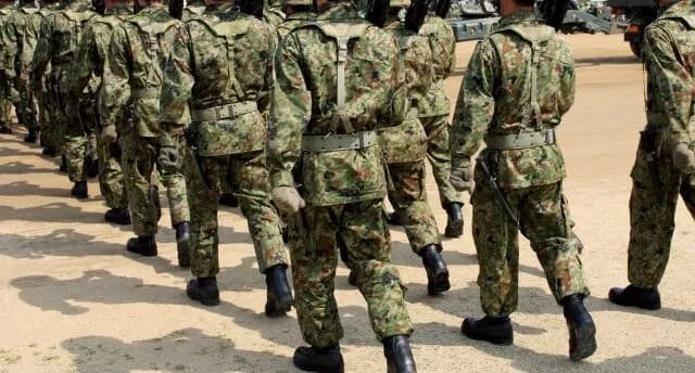 自衛隊（がれき撤去、鶏の殺処分、クマ駆除）←こいつら