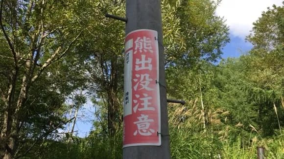 【朗報】秋田市クマ1頭捕獲する度10000円の報酬ｗｗｗｗｗｗｗｗ