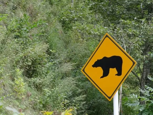 【悲報】秋田県「人口１０００人の村にクマ２０００頭生息してます」ｗｗｗｗｗｗｗｗ