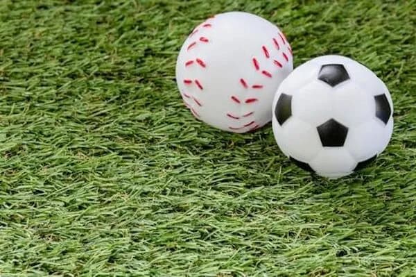 日本における野球サッカーに次ぐ三番手スポーツって何や？