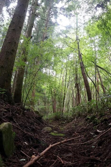 小学生さん「🐻さんでるなー！あっちいけー」→クマよけの声出しした結果…