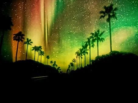 【疑問】なんで日本でレゲエって廃れてしまったんや？ヒップホップは未だに人気なのにｗｗｗｗｗｗｗｗｗｗｗｗｗｗｗｗ