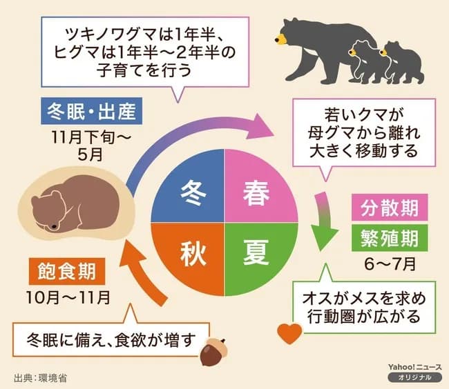 クマさん、逆転満塁ホームランか？猟友会「自衛隊参加反対」