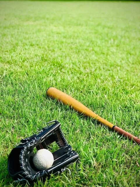 ワイ、野球を始めようと思うんやがポジションを決めたい