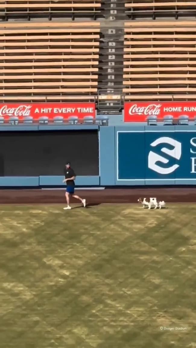 【朗報】デコピン、ちゃんと大谷に着いていく