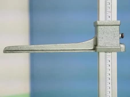 175cmとかいうチビ界の高身長wwwwww