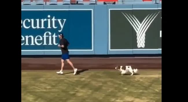 【朗報】デコピン、ちゃんと大谷に着いていく