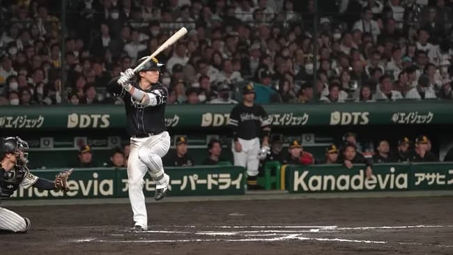 SB野村勇 28歳 (遊/三/二/一) .271 12本 40打点 18盗塁 OPS.733 10本10盗塁2回達成