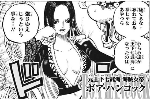女帝ボア・ハンコック(31)さん「王下七武海になったのは強さゆえ」←これ