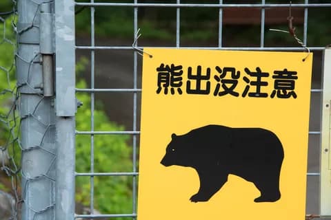 【動画】クマサン、もはや秋田市街地を普通に遊び場とするwwwwww