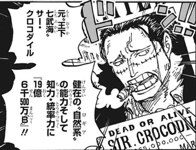 クロコダイル(懸賞金19億6500万ベリー)←こいつを倒したルフィにかける懸賞金が1億って