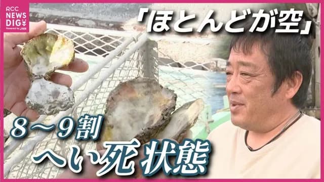 【悲報】『広島カキ』9割が死滅。｢死ぬ量が半端ではない。ここまで死んだのは初めて」