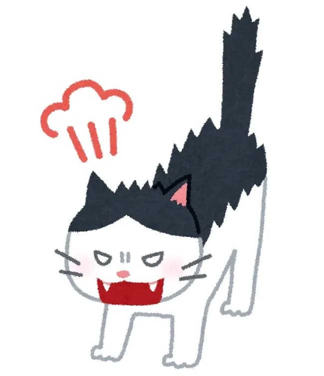 猫ちゃん、狩りをクソ犬に邪魔されブチ切れｗvwvwvwvwvwvwvwvwvwvwvwvwvwvwvwvwvw