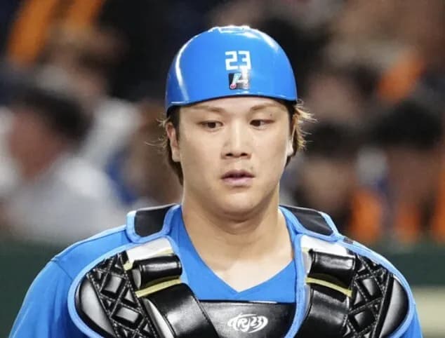 正直、日ハム伏見の『捕手の性能』ってどういう評価なの？