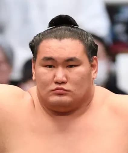 【悲報】豊昇龍さん「横綱に変化するんだ。まさか変化はないよね。横綱に変化する人を見たことがない・・・」