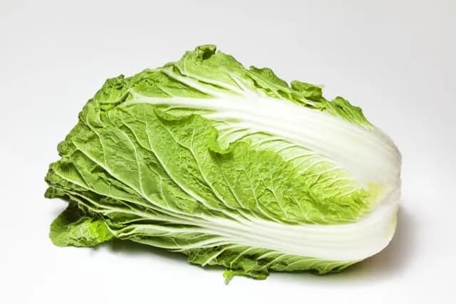 白菜一玉198円だったから買ったけど