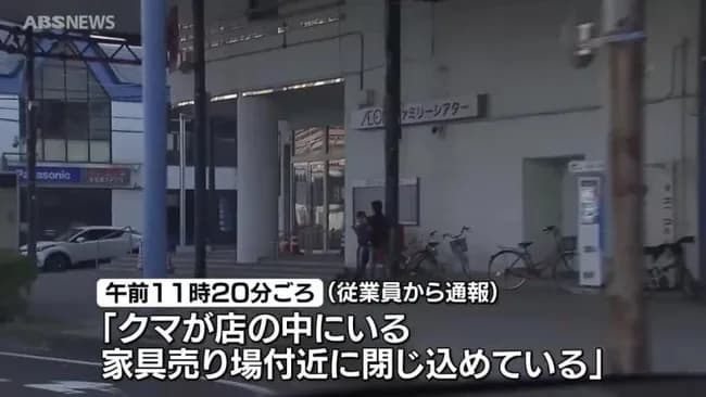【朗報】秋田県の職員、吹き矢で熊を捕獲ｗｗｗｗｗｗｗｗ