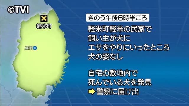 飼い犬、またクマに襲われる