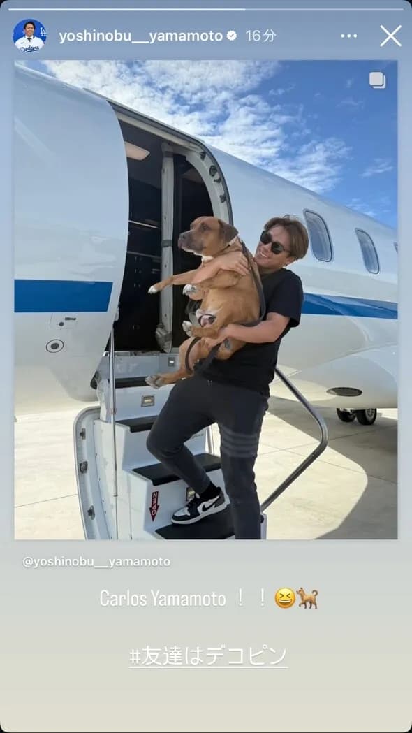 山本由伸の愛犬カルロス君ｗｗｗｗｗ