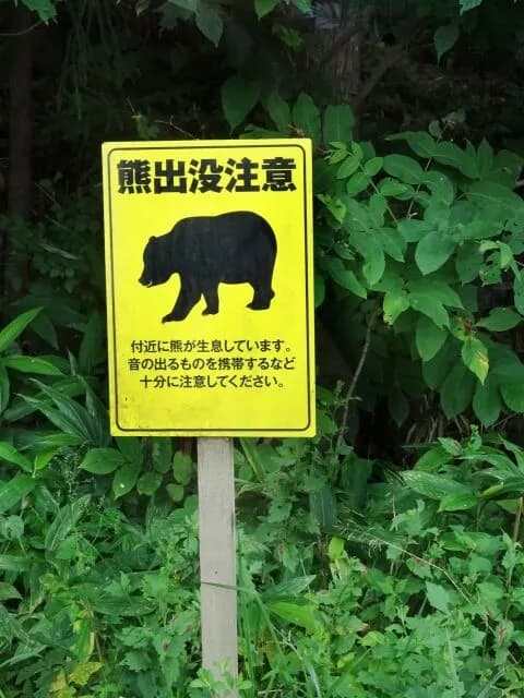 北海道猟友会会長「ヒグマの駆除は警察と自衛隊だけでやってほしい。猟友会は外してほしい」