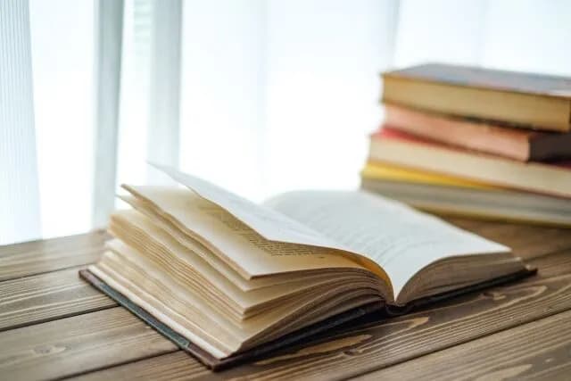 【哲学】作品において「面白い」って何や？？？