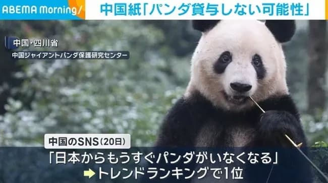 中国SNSで「日本からもうすぐパンダがいなくなる」がトレンド1位に