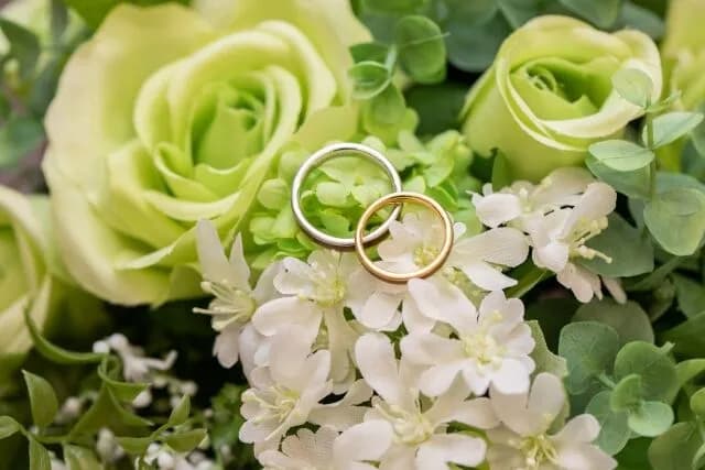 結婚指輪買おうと思ったけど高すぎて草