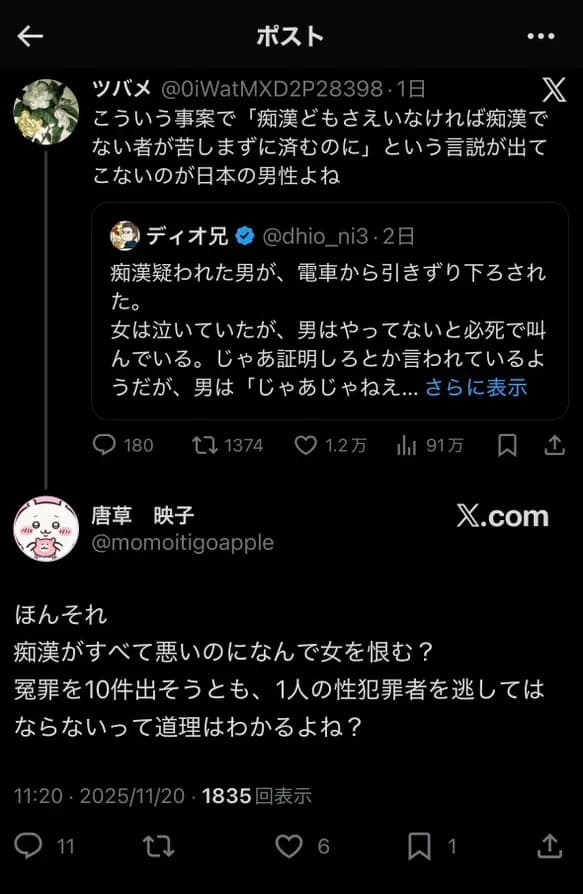 【朗報】女さん「冤罪を10件出そうとも1人の性犯罪者を逃してはならない」