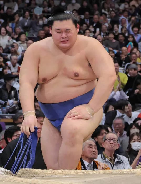 【悲報】横綱・大の里さん、Vやねんしそう…11勝3敗 ○○○○○○○○○●●○○●
