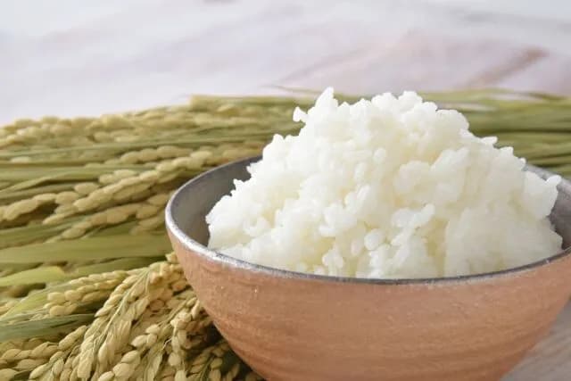 お米好きの人に聞きたいんやが