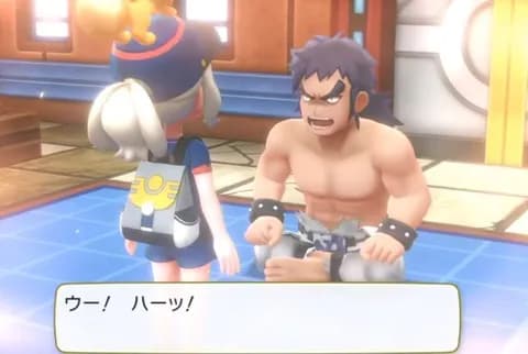 四天王シバ「格闘使いとして四天王担当することになったけどポケモン何にしよか…」