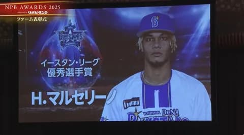 プロ野球年間表彰式　イ・リーグ優秀選手 DeNAからはH.マルセリーノ投手が選出！