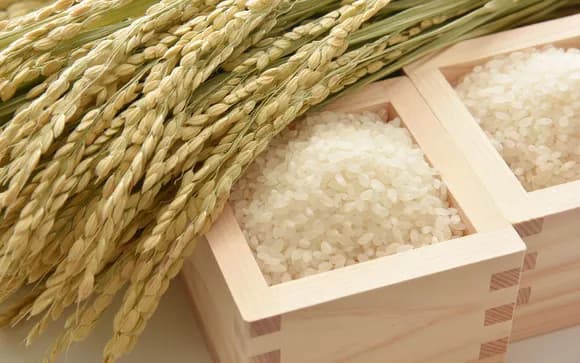 【7大】新潟県の名物「コシヒカリ」「わっぱ飯」「タレかつ丼」「ブルボン」「NSGグループ」「田中角栄」