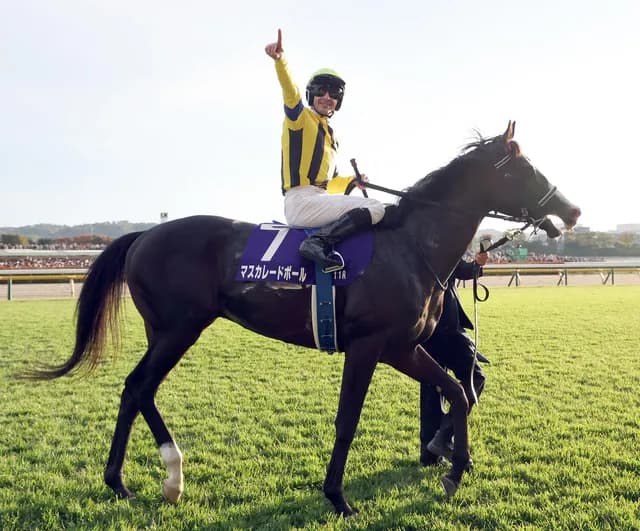 【ジャパンC】 マスカレードボールに2400は長いおじさん「マスカレードボールに2400は長い」