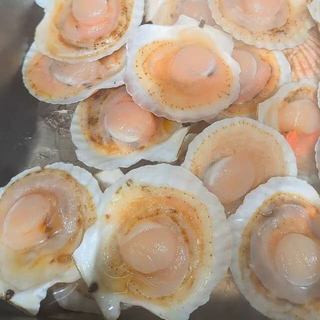 四大ガチで美味い貝「ホタテ」「牡蠣」「サザエ」←あと一つは？