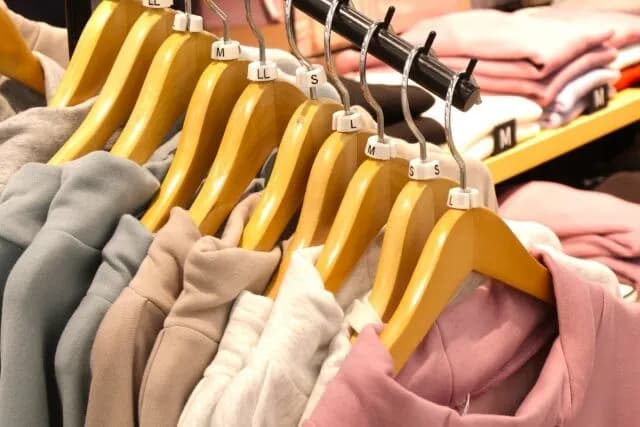 服めちゃくちゃあるのに服が欲しくなるのこれなに？