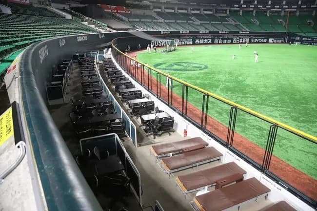 佐藤輝と大山「甲子園にもホームランテラス設置して」→阪神「甲子園は阪神の持ち物ではありません」