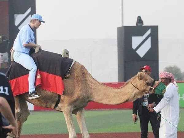 中東初のプロ野球リーグが描く奇想天外な新たな野球　ラクダで入場、マネーボール、ファイアーボール...