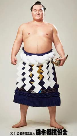 【朗報】白鵬さん、なんだかんだ凄かったという結論に落ち着くwinwinwin