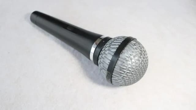 大物芸人で逃げ切れそうなの、タモリとさんまだけｗｗｗ