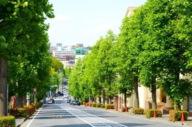 神奈川県「人口減少で衰退する駅」の特徴　「あざみ野」ほか東急田園都市線のブランド神話に変化の兆し