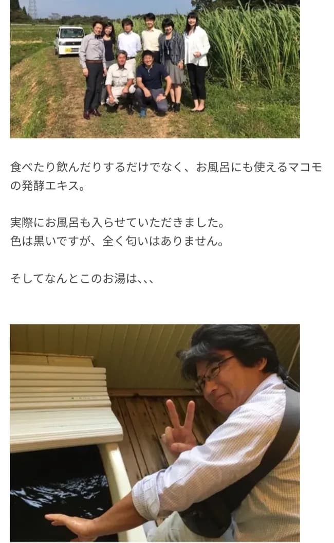 【朗報】参政党・神谷さん、マコモ湯に入浴していた「色は黒いですが、全く匂いはありません」